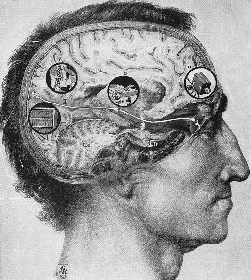 Illustration for article titled Fritz Kahn's Whimsical Infographics Turn People Into Contraptions
